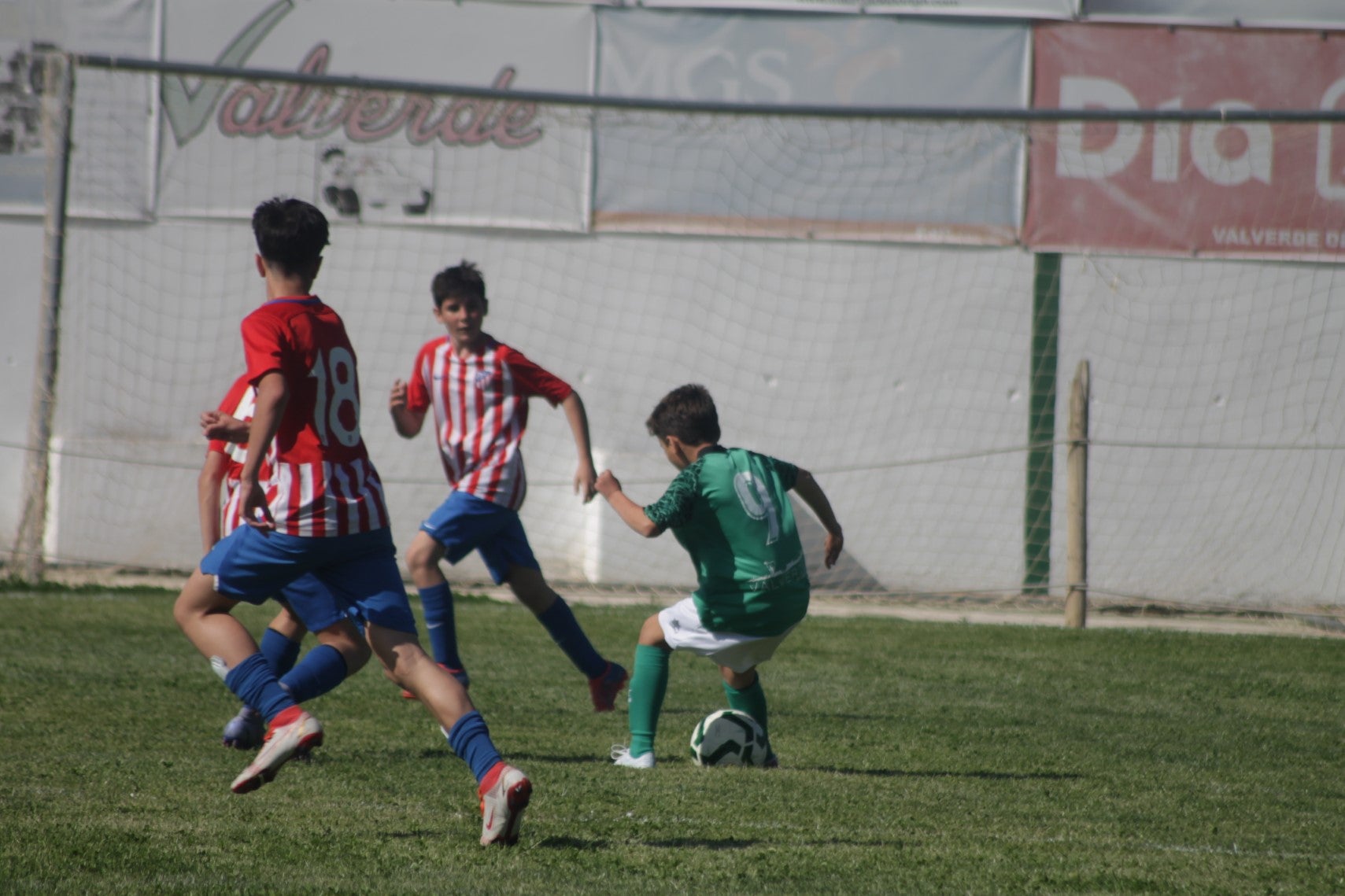 Fotos: I Trofeo Ibérico ‘Villa de Valverde’ (IV)