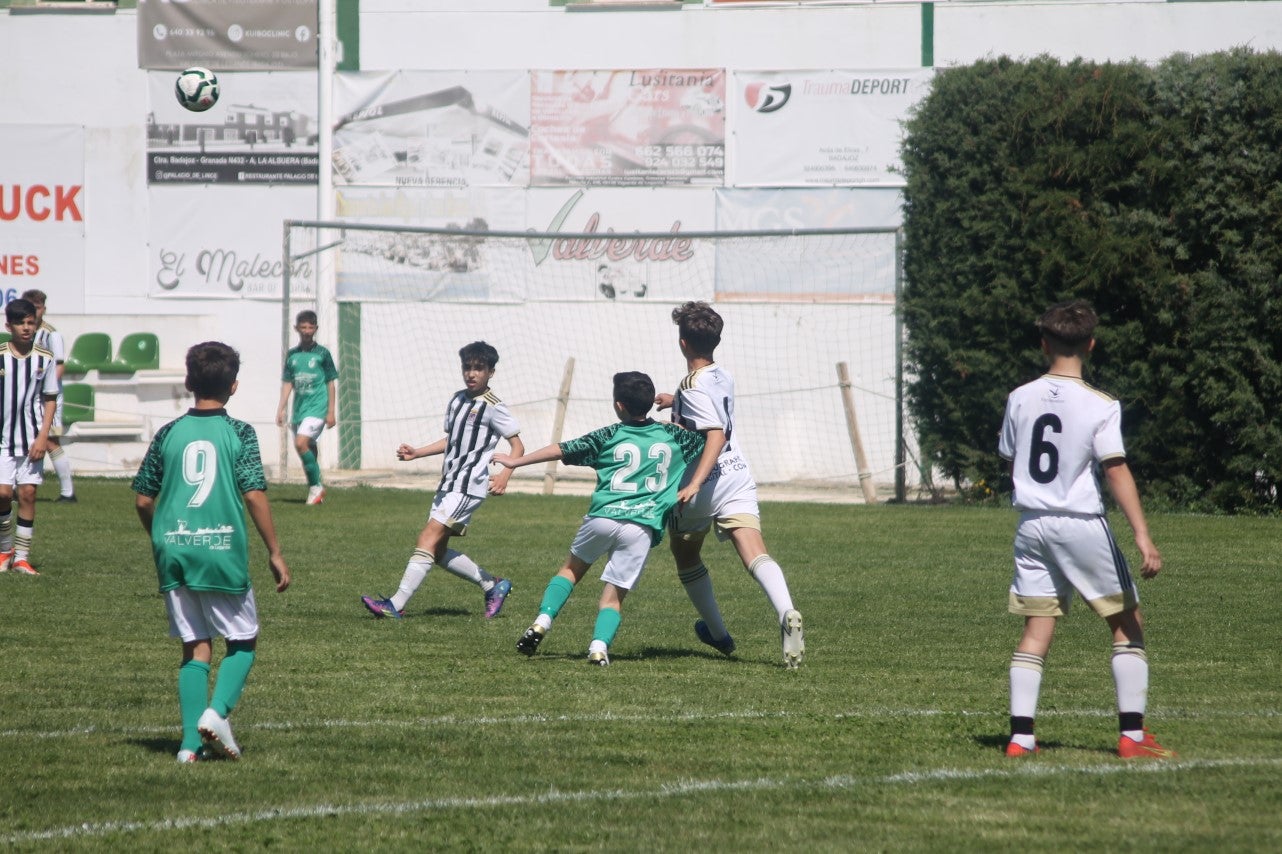 Fotos: I Trofeo Ibérico ‘Villa de Valverde’ (VI)