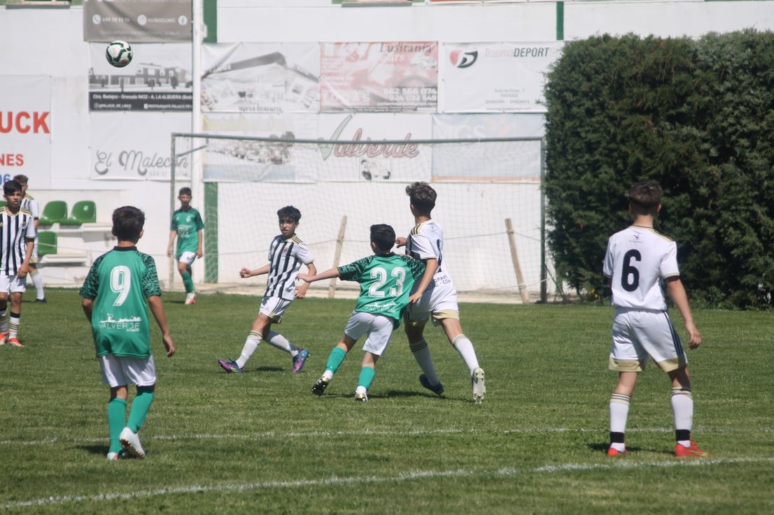 Fotos: I Trofeo Ibérico ‘Villa de Valverde’ (VI)