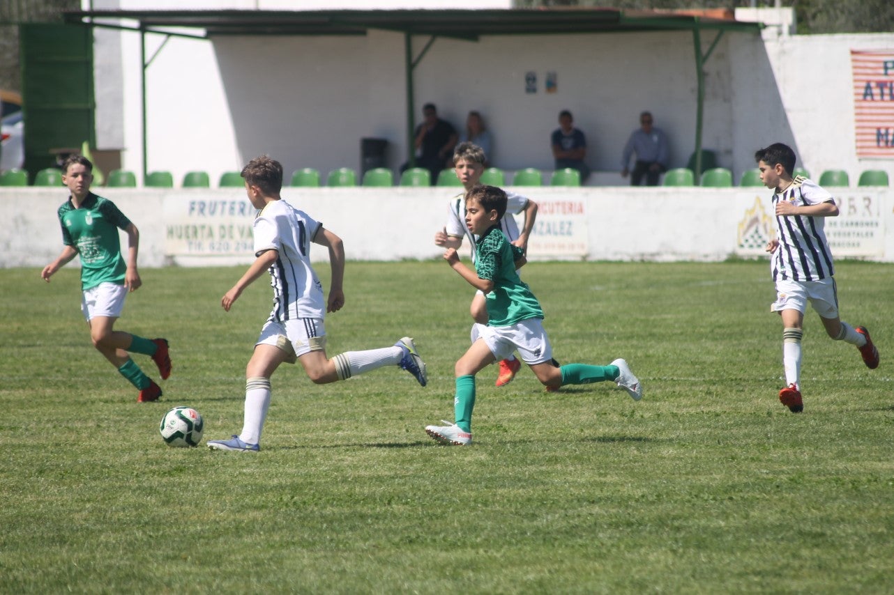 Fotos: I Trofeo Ibérico ‘Villa de Valverde’ (VI)