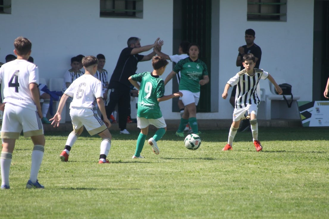 Fotos: I Trofeo Ibérico ‘Villa de Valverde’ (VI)