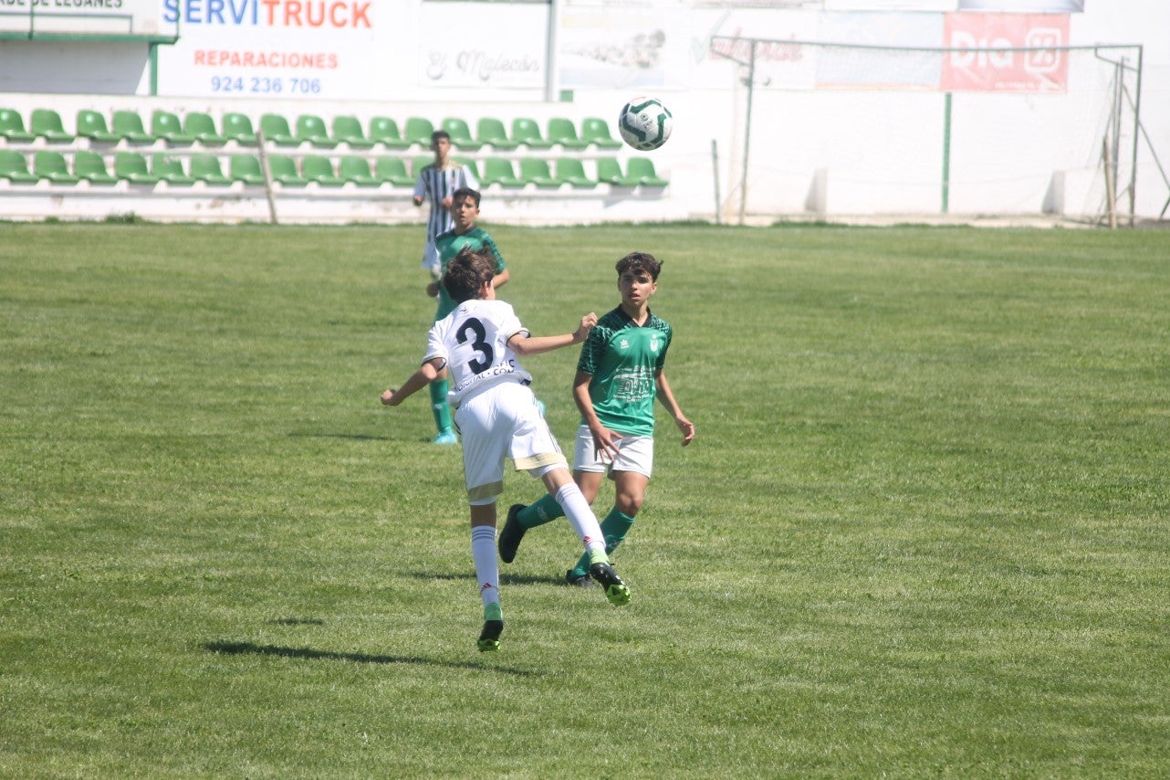 Fotos: I Trofeo Ibérico ‘Villa de Valverde’ (VI)