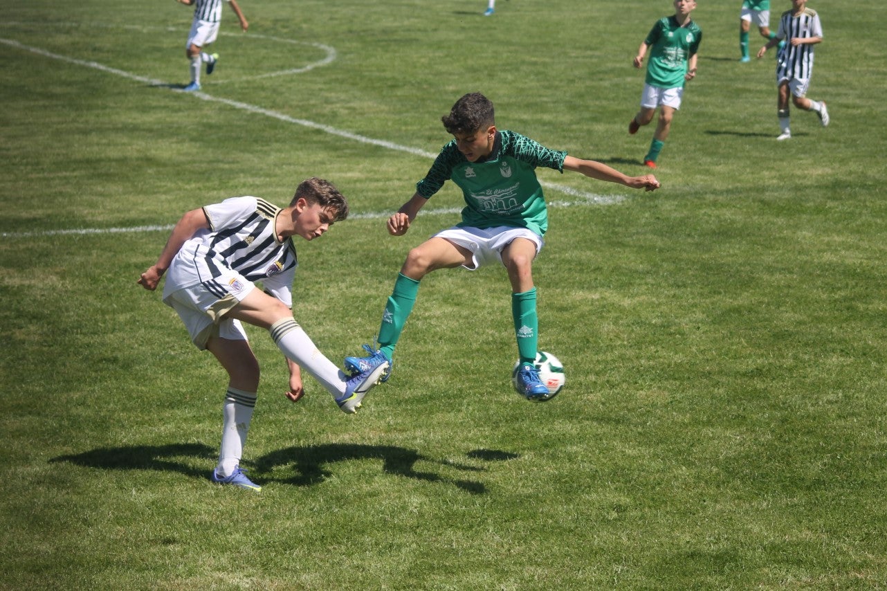 Fotos: I Trofeo Ibérico ‘Villa de Valverde’ (VI)