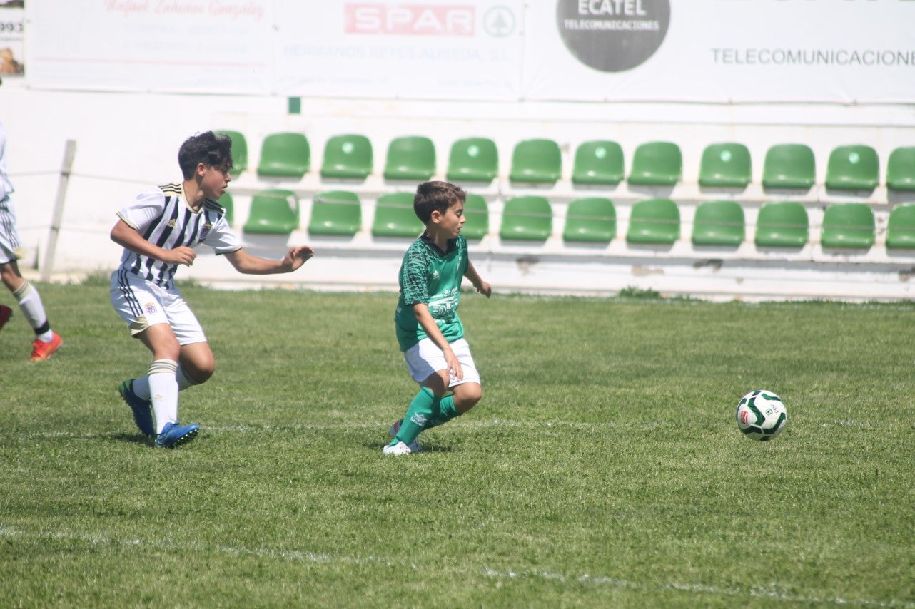 Fotos: I Trofeo Ibérico ‘Villa de Valverde’ (VI)