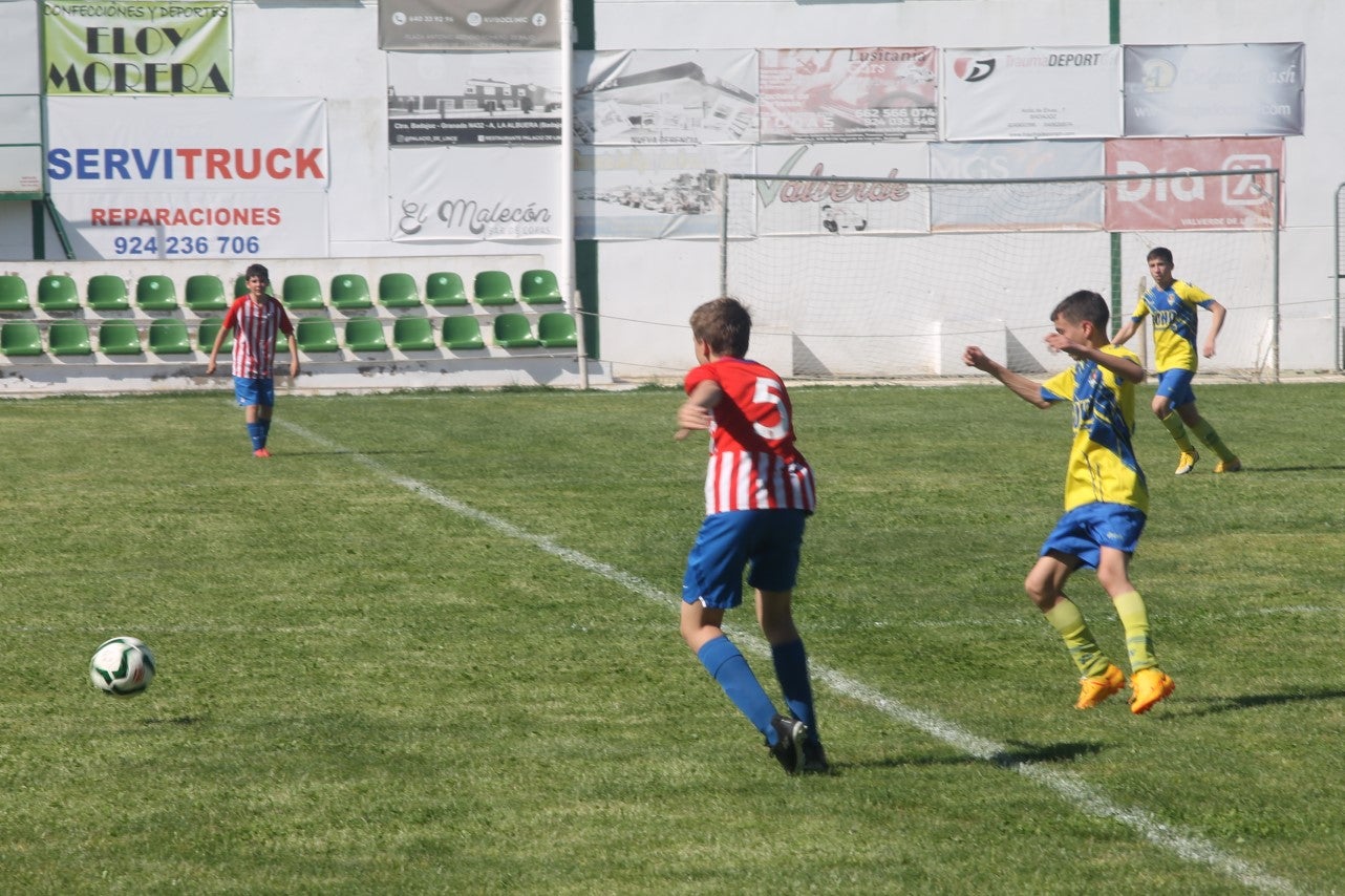 Fotos: I Trofeo Ibérico ‘Villa de Valverde’ (VIII)