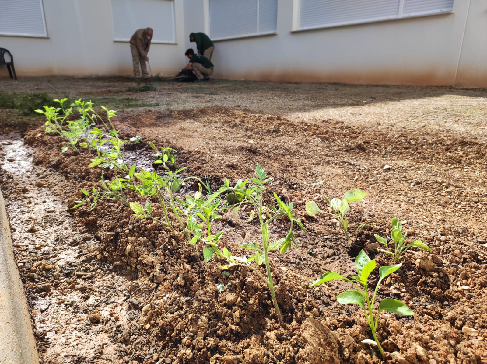 Fotos: Actividades del Colaborativo Rural en el Centro de Día
