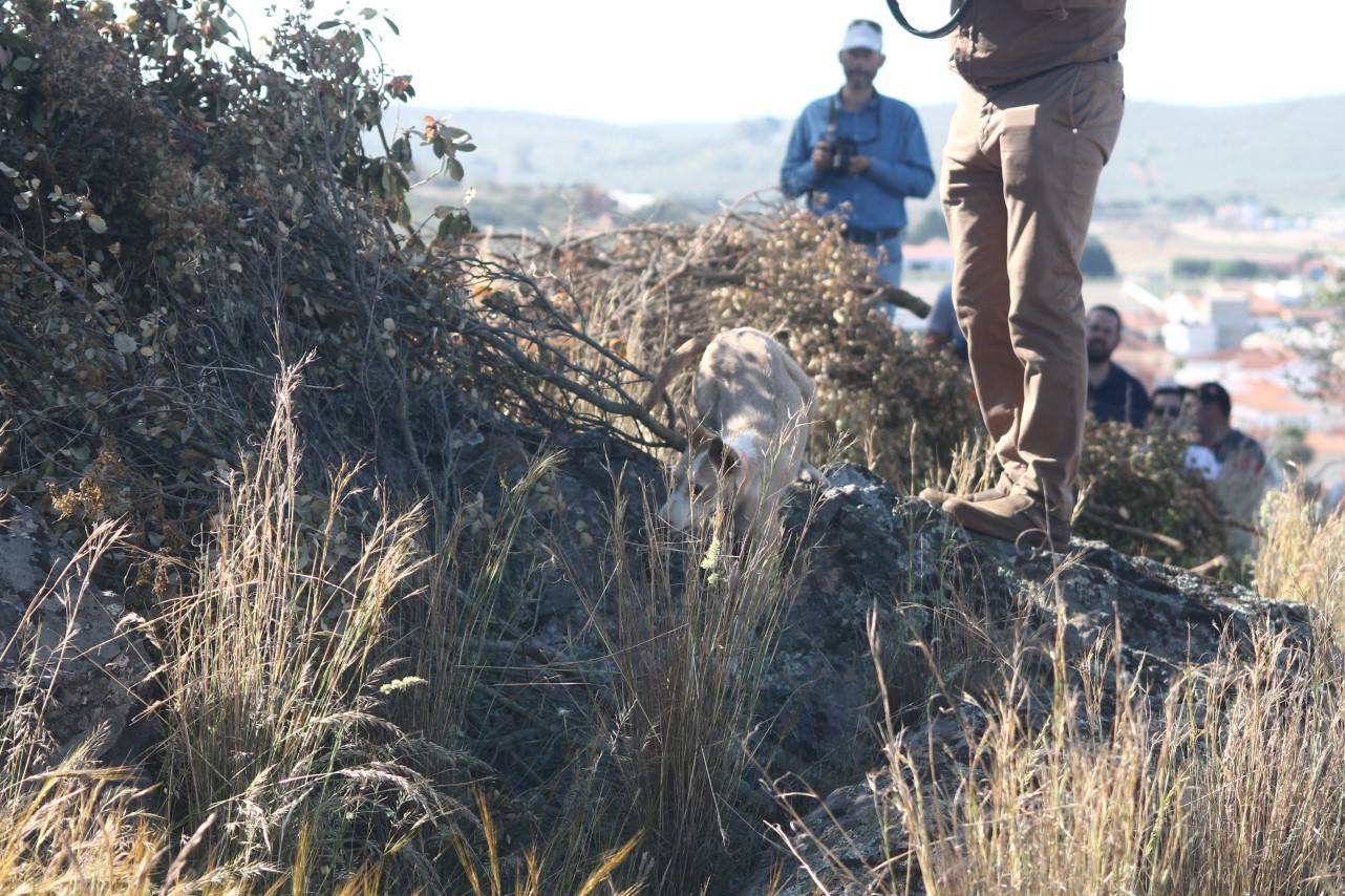 Fotos: VII Día del Cazador