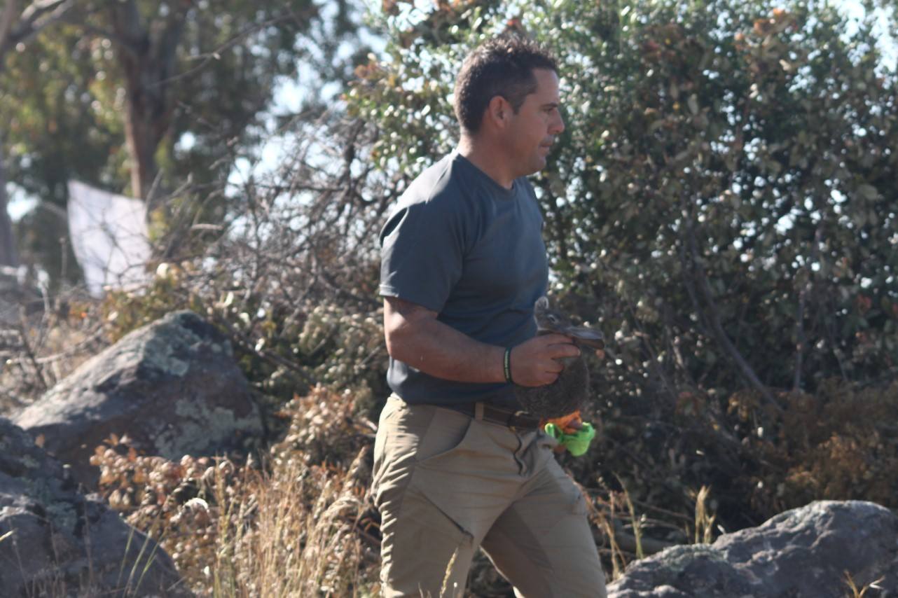 Fotos: VII Día del Cazador