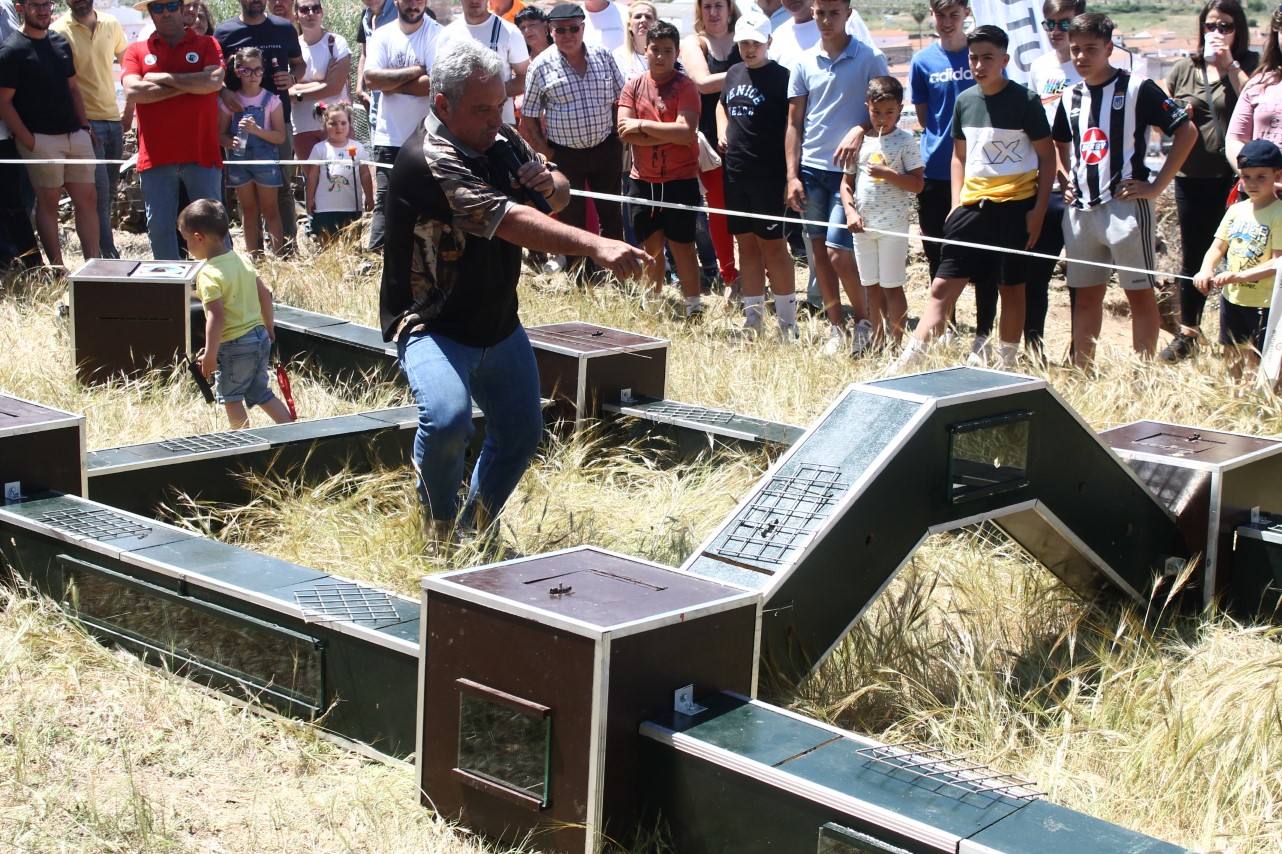 Fotos: VII Día del Cazador