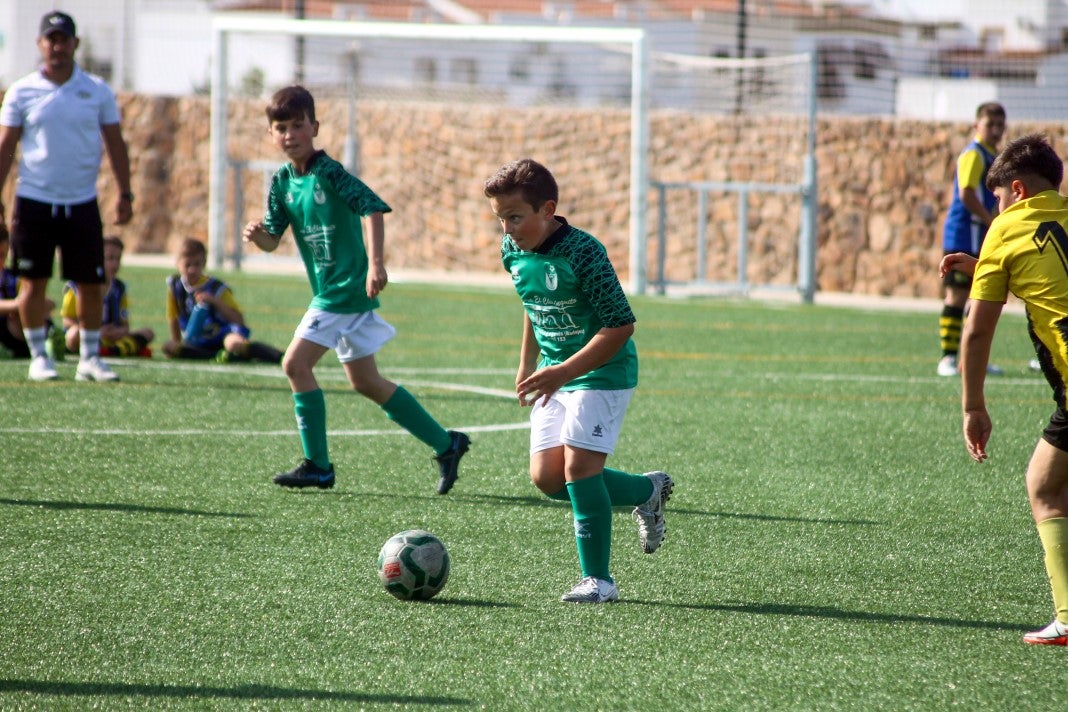 Fotos: Alevines A EMD Valverde - Escuela Guadalupe