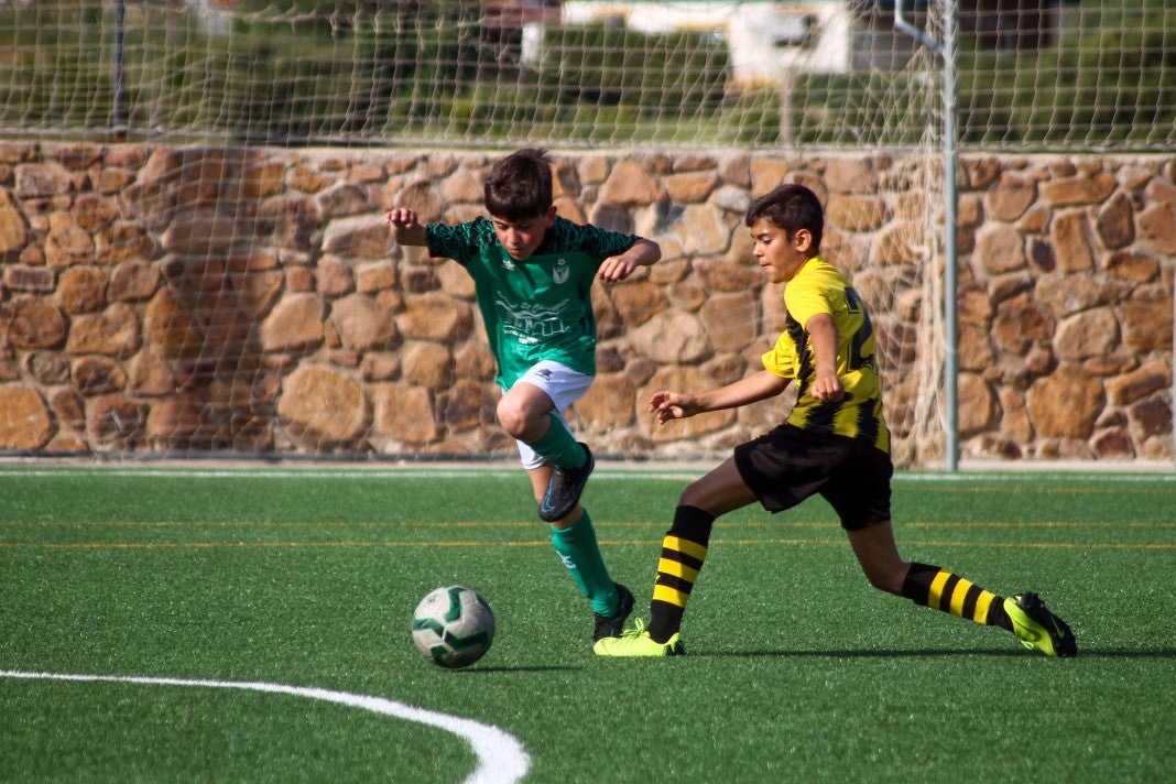 Fotos: Alevines A EMD Valverde - Escuela Guadalupe