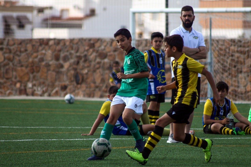 Fotos: Alevines A EMD Valverde - Escuela Guadalupe