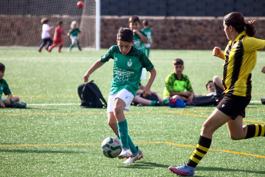 Fotos: Alevines A EMD Valverde - Escuela Guadalupe