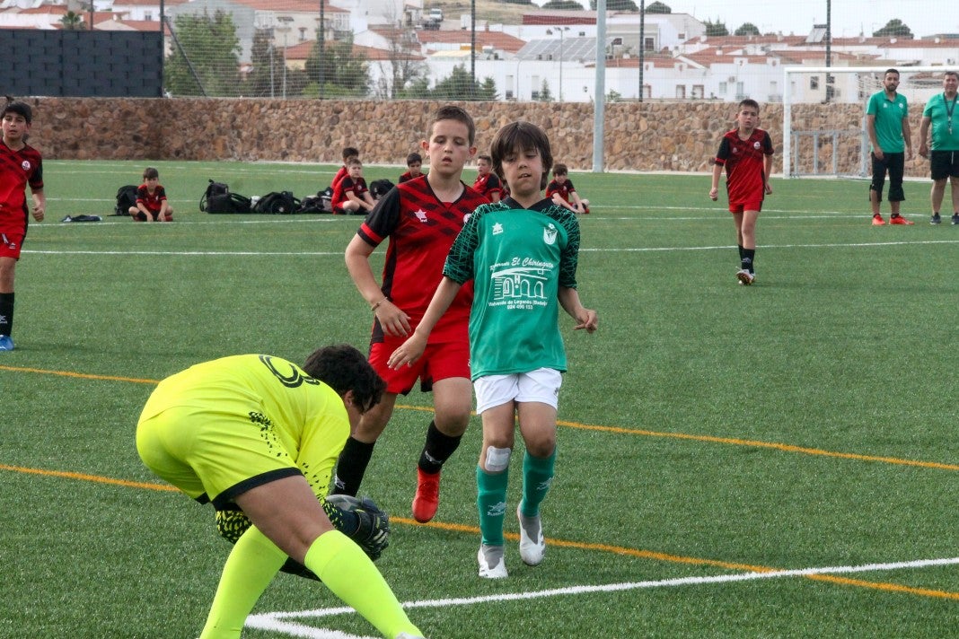 Fotos: Alevines B EMD Valverde – AD Hispanolusa