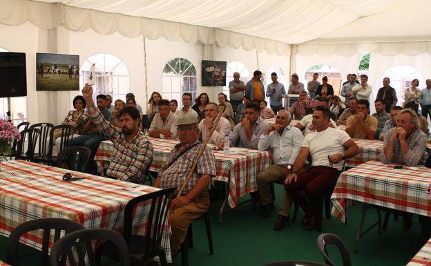 Imagen principal - Subasta de ganado, concierto de Inma Vilchez y demostración de esquila