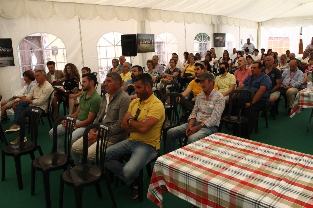 Fotos: XI Vive la Trashumancia y III Feria del Queso Artesano (II)
