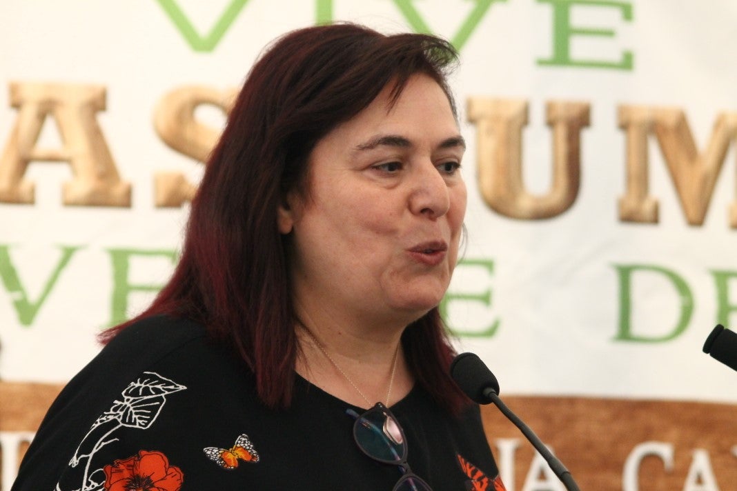 Fotos: XI Vive la Trashumancia y III Feria del Queso Artesano (II)