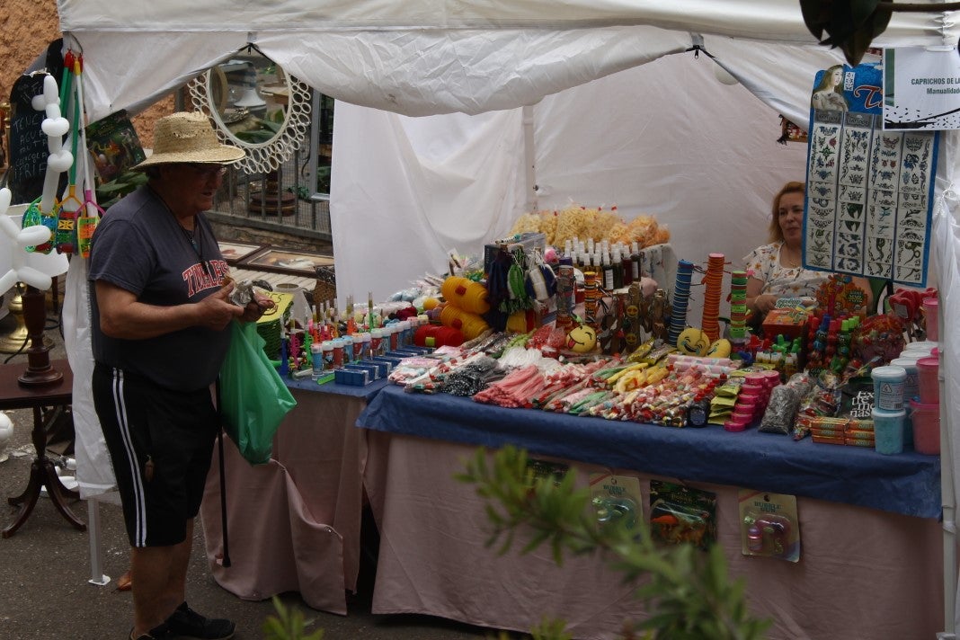 Fotos: XI Vive la Trashumancia y III Feria del Queso Artesano (II)