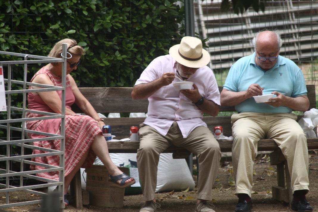 Fotos: XI Vive la Trashumancia y III Feria del Queso Artesano (III)