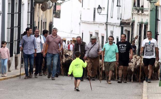 Imagen. Paseo trashumante por la localidad
