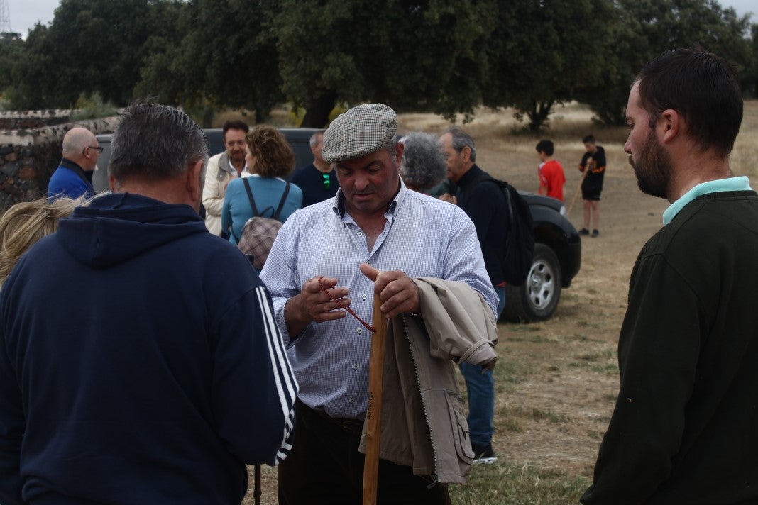 Fotos: XI 'Vive la Trashumancia' y III 'Feria del Queso Artesano' (IV)