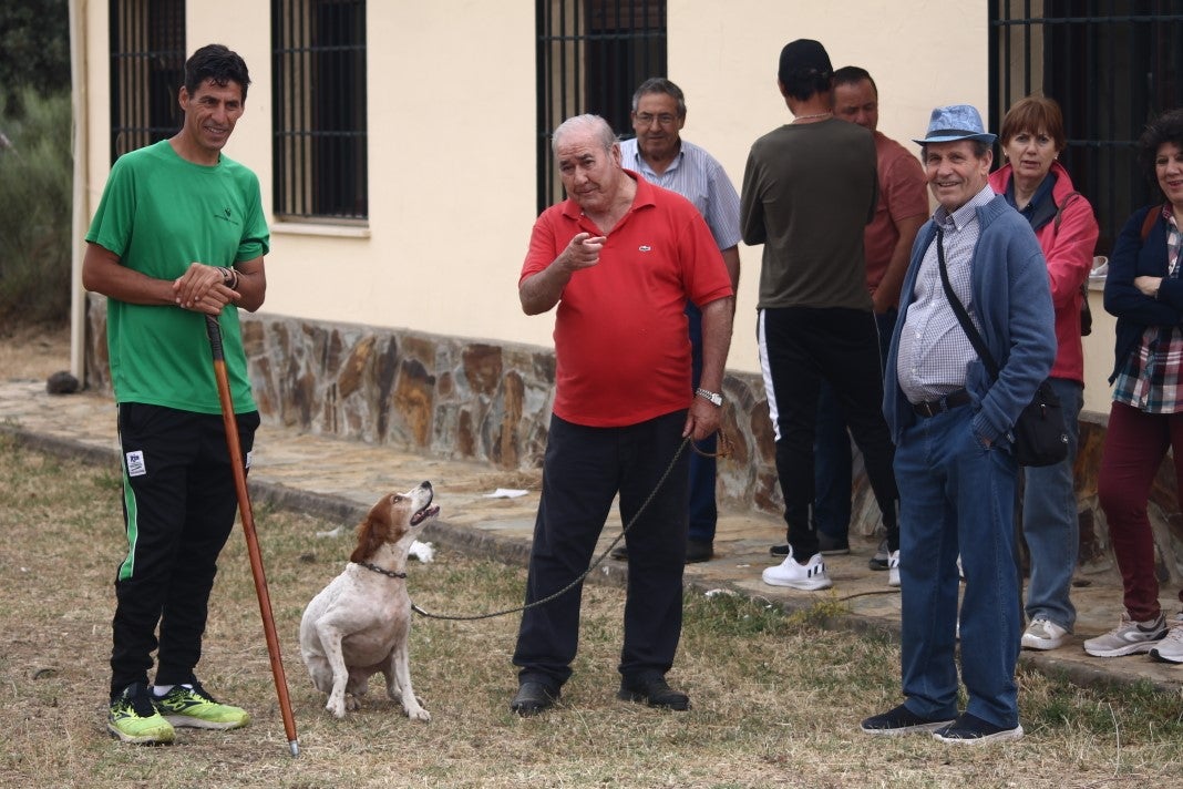 Fotos: XI 'Vive la Trashumancia' y III 'Feria del Queso Artesano' (IV)