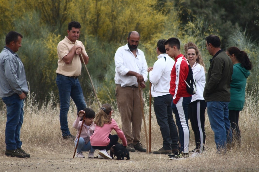 Fotos: XI 'Vive la Trashumancia' y III 'Feria del Queso Artesano' (IV)