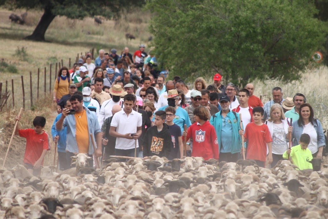 Fotos: XI 'Vive la Trashumancia' y III 'Feria del Queso Artesano' (IV)