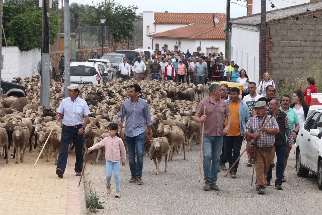 Fotos: XI 'Vive la Trashumancia' y III 'Feria del Queso Artesano' (IV)