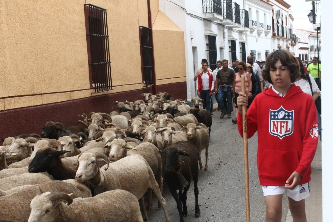 Fotos: XI 'Vive la Trashumancia' y III 'Feria del Queso Artesano' (IV)