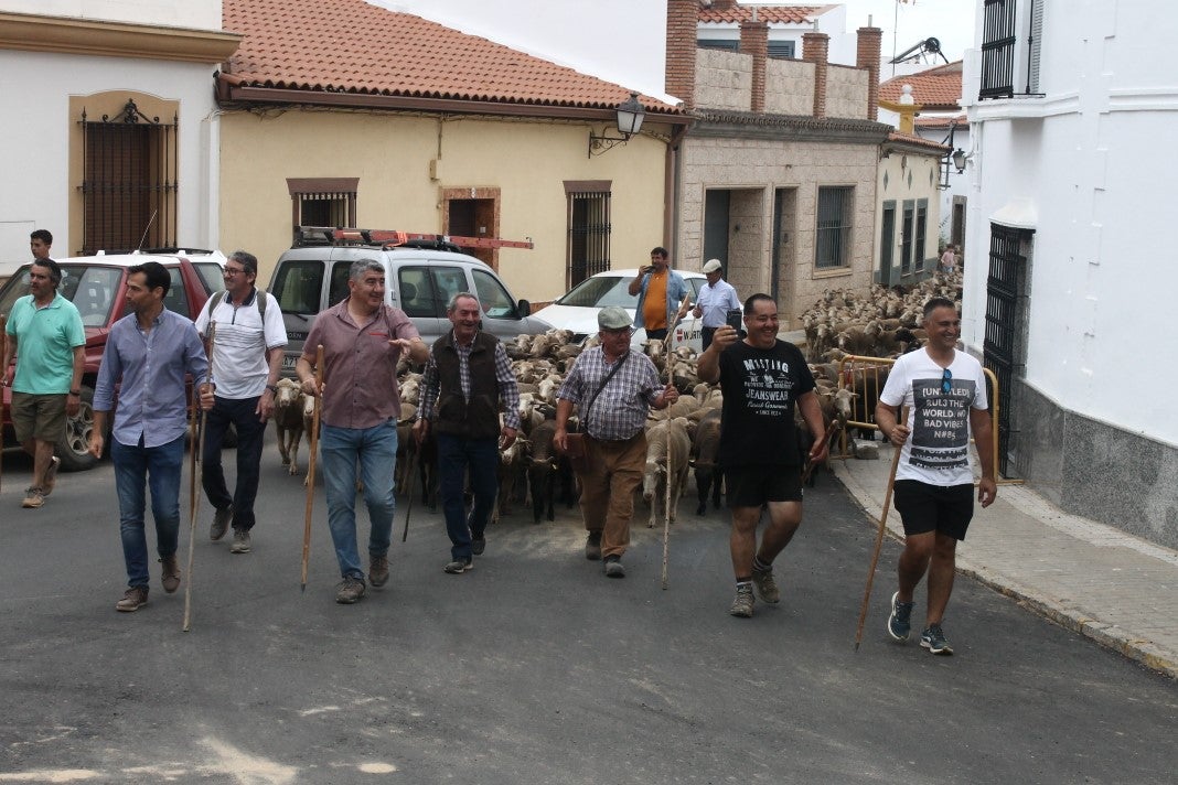 Fotos: XI 'Vive la Trashumancia' y III 'Feria del Queso Artesano' (IV)