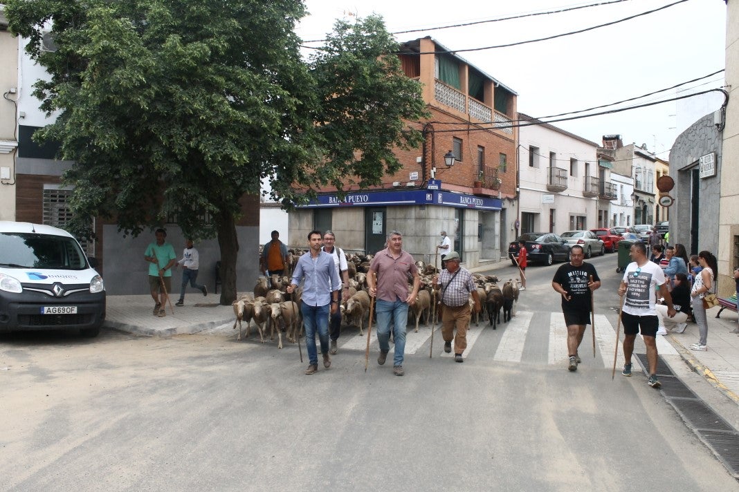 Fotos: XI 'Vive la Trashumancia' y III 'Feria del Queso Artesano' (IV)