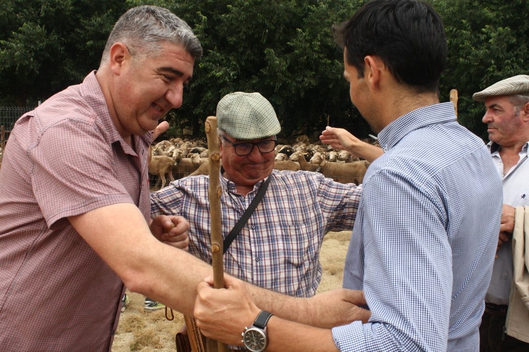 Fotos: XI 'Vive la Trashumancia' y III 'Feria del Queso Artesano' (V)