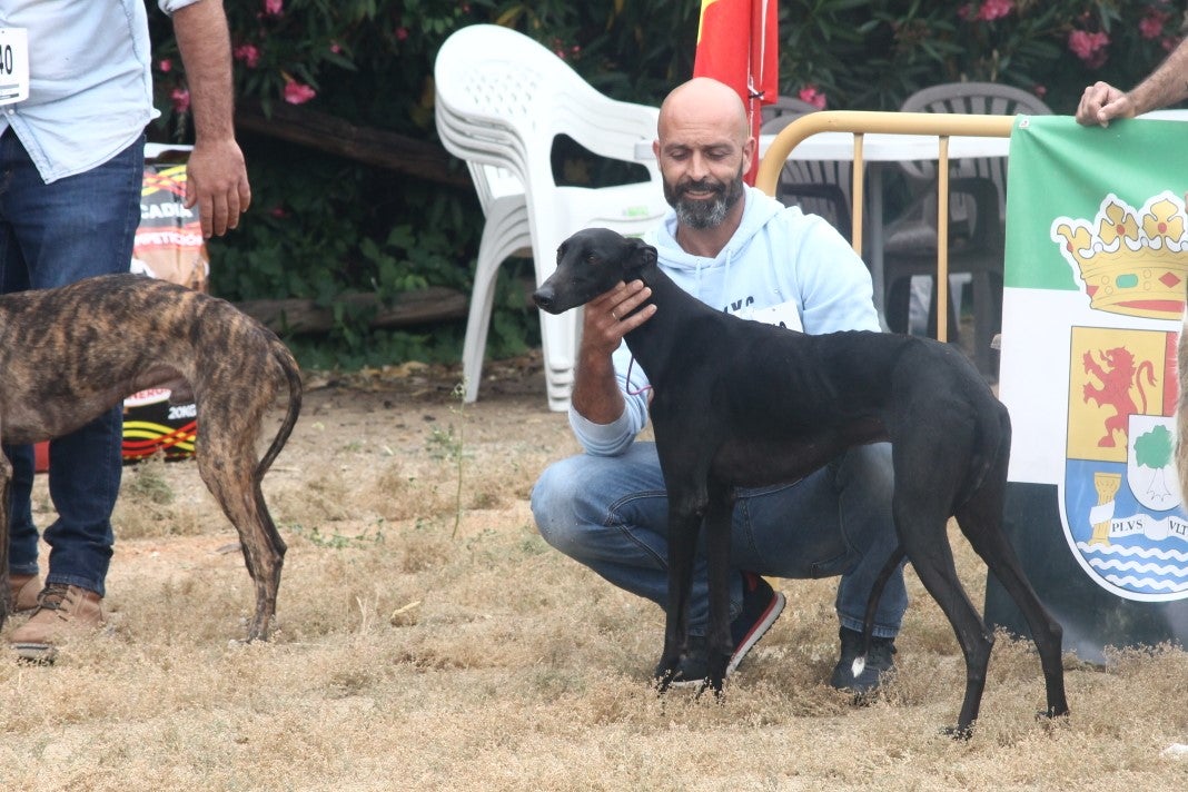 Fotos: XI 'Vive la Trashumancia' y III 'Feria del Queso Artesano' (V)