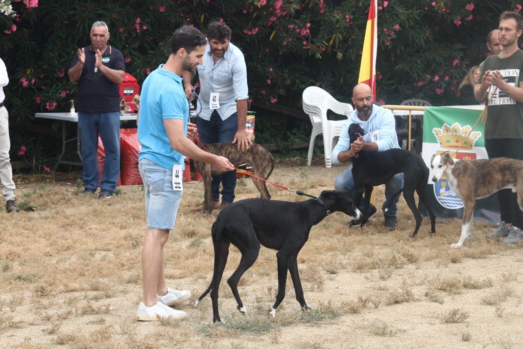 Fotos: XI 'Vive la Trashumancia' y III 'Feria del Queso Artesano' (V)