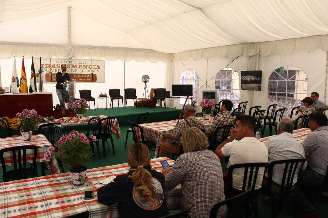 Fotos: XI 'Vive la Trashumancia' y III 'Feria del Queso Artesano' (V)