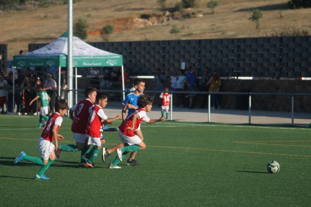 Fotos: Clausura de la temporada 2021-2022 en fútbol base (I)