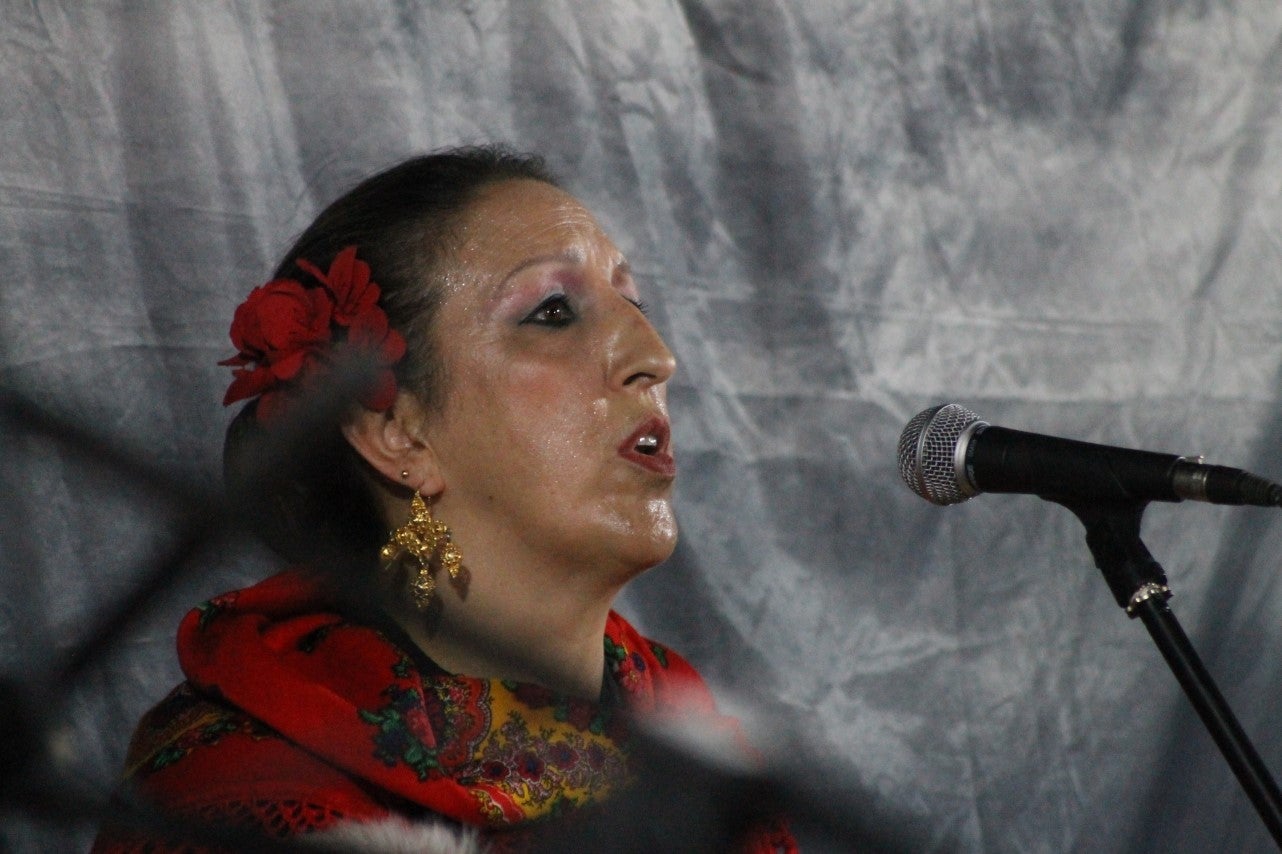 Fotos: Festival Folklórico de los Pueblos del Mundo de Extremadura (I)