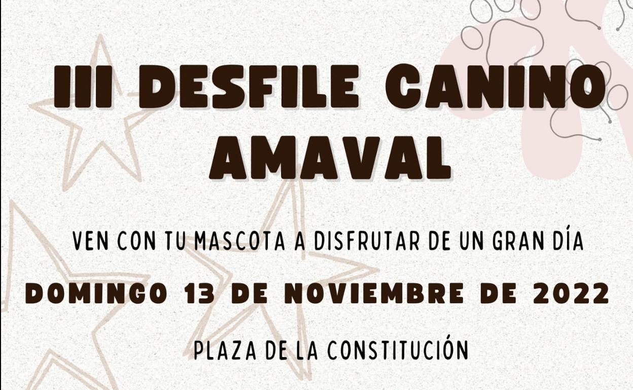Amaval: Este domingo, a las 12.00 horas, Amaval celebra el III Desfile Canino