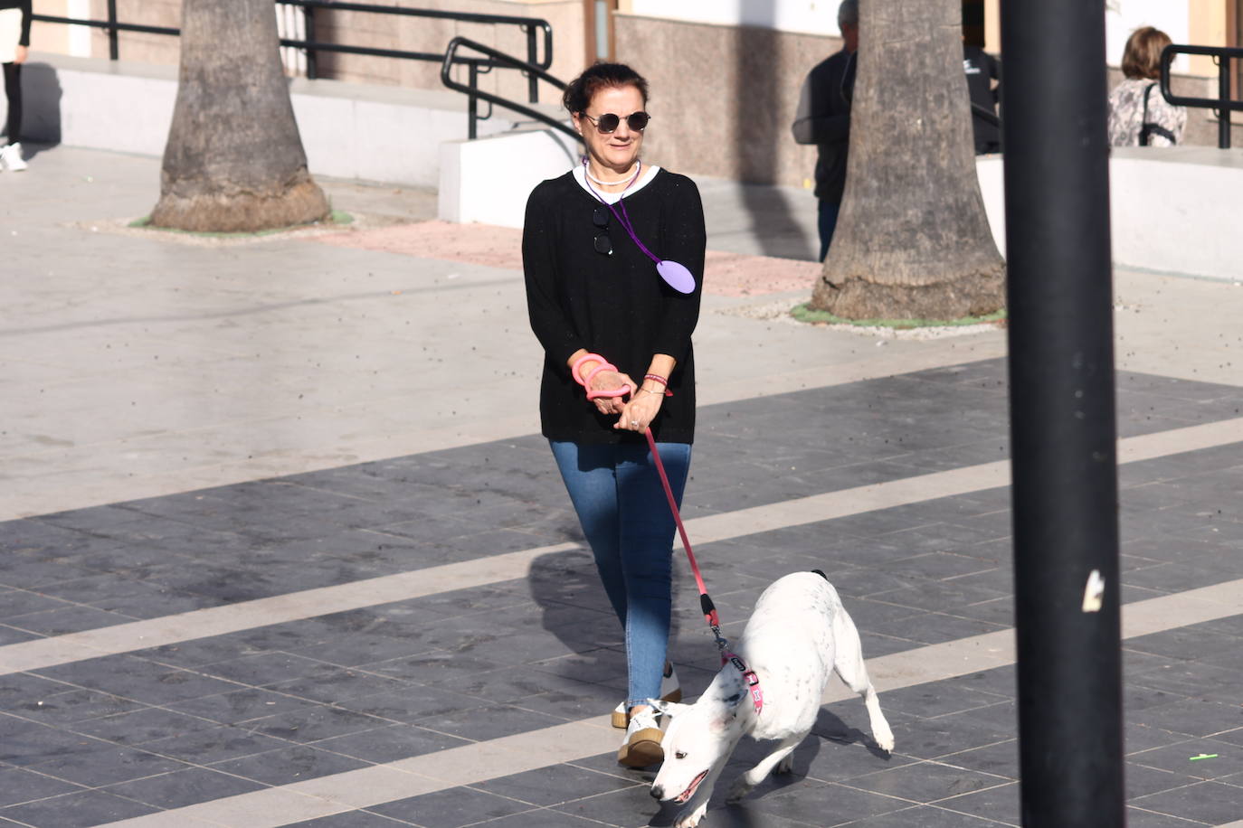 Fotos: III Desfile Canino