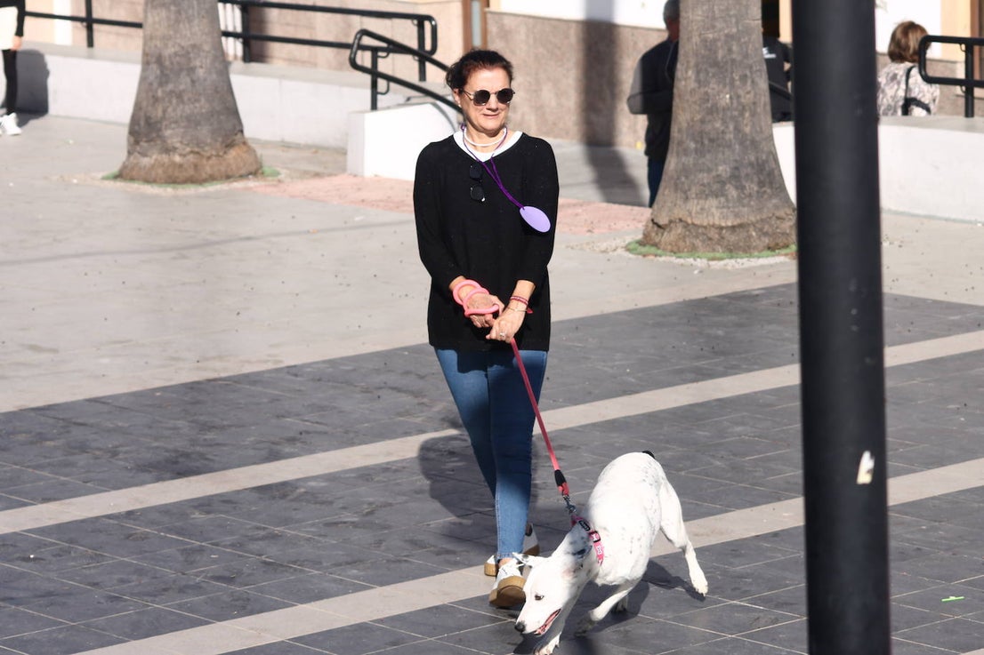 Fotos: III Desfile Canino