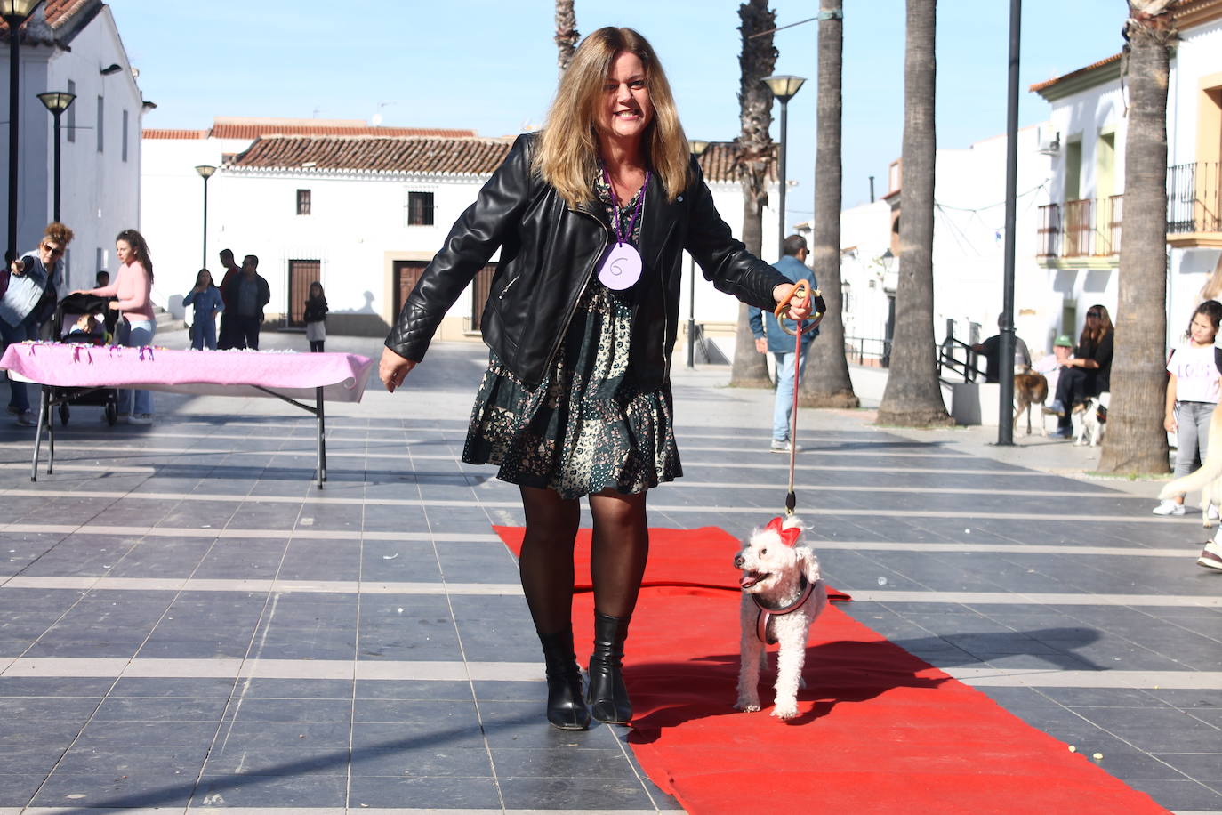 Fotos: III Desfile Canino