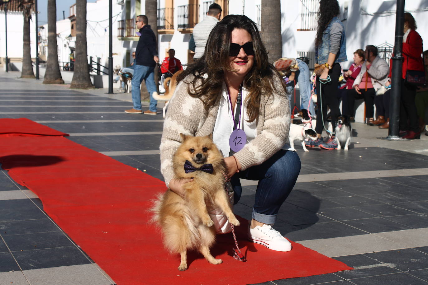 Fotos: III Desfile Canino