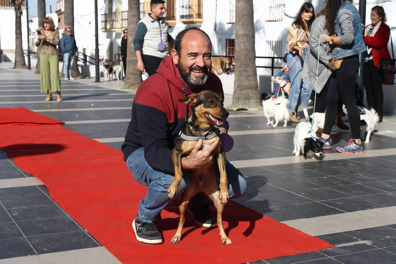 Fotos: III Desfile Canino