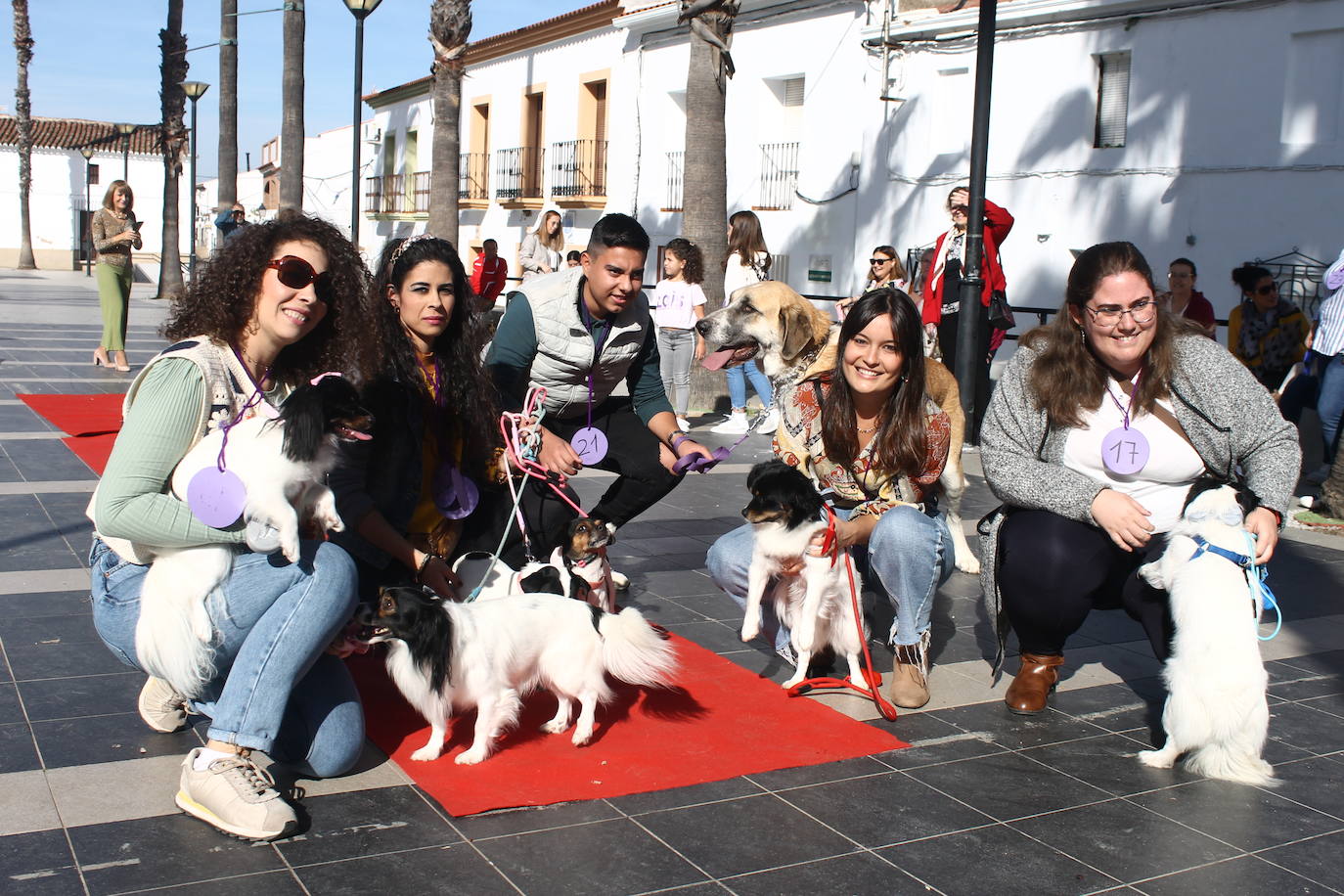 Fotos: III Desfile Canino