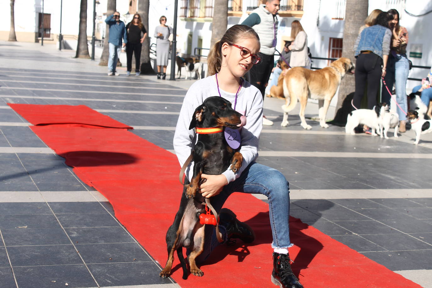 Fotos: III Desfile Canino