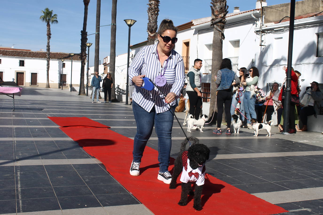 Fotos: III Desfile Canino