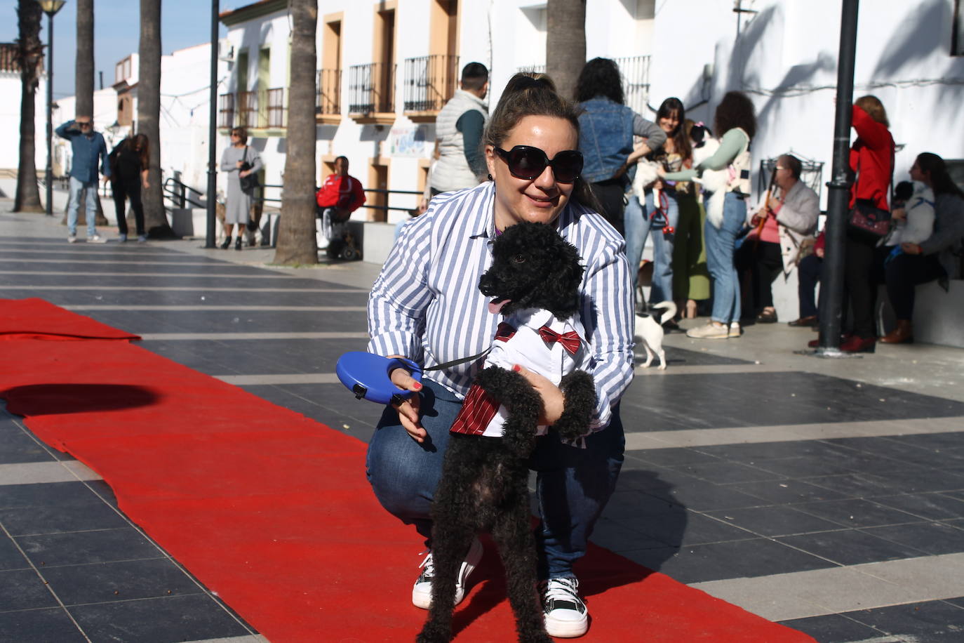 Fotos: III Desfile Canino