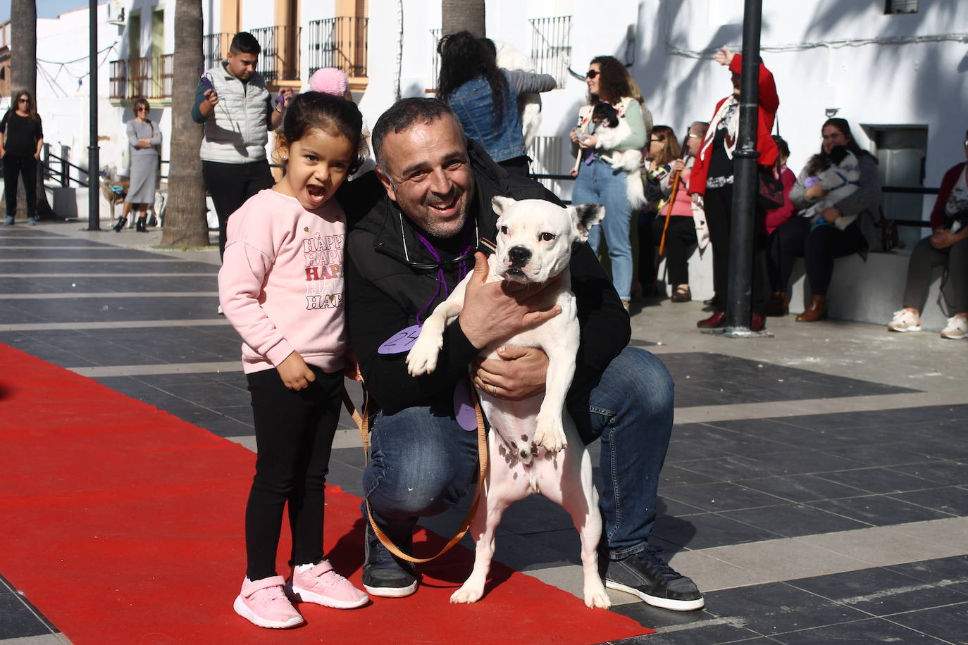 Fotos: III Desfile Canino