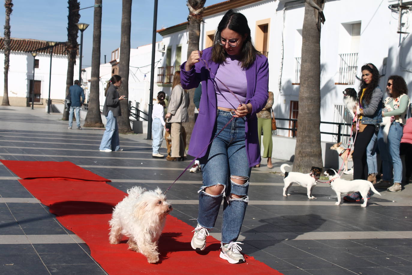 Fotos: III Desfile Canino